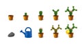 Icons made Ã¢â¬â¹Ã¢â¬â¹of growth Cactus